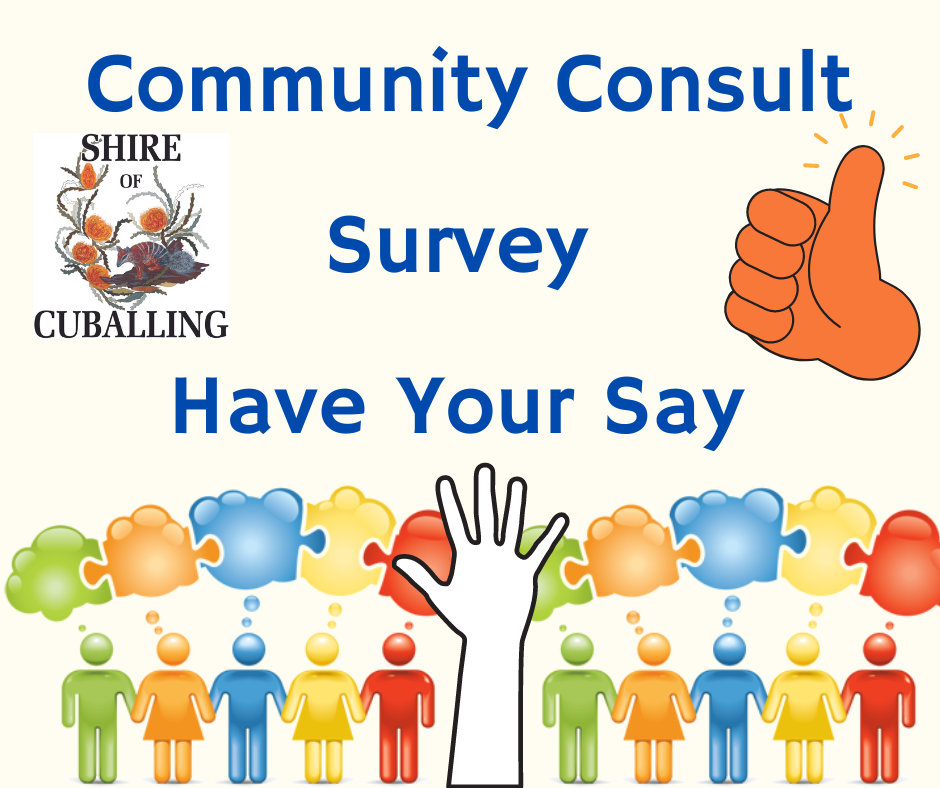 Community Consultation Survey